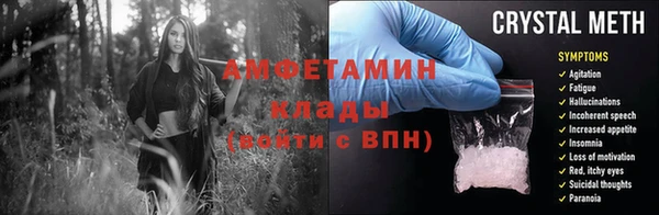 крисы Абаза