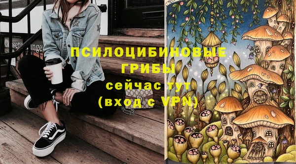 MDMA Няндома