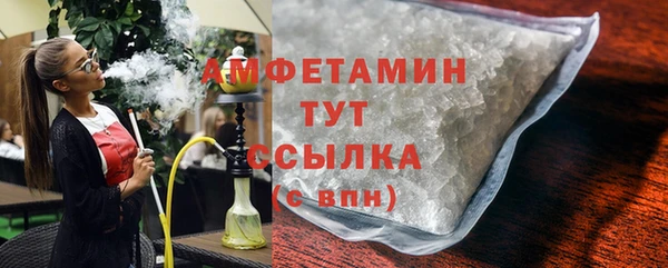 крисы Абаза
