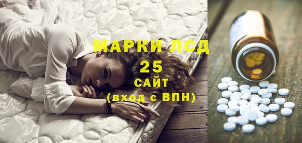крисы Абаза