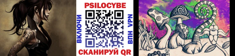 где найти   Тарко-Сале  Псилоцибиновые грибы мицелий 